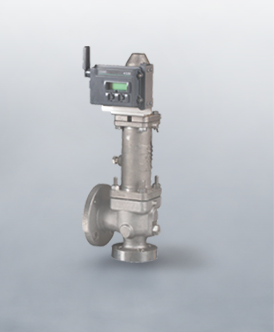 Steam Relief Valves